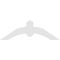 Ekena Millwork Archdale Architectural Grade PVC Gable Bracket, 36"W x 12"H x 2"D x 4"F, 8/12 Pitch GBP036X12X0204ARC00 - alternate 5